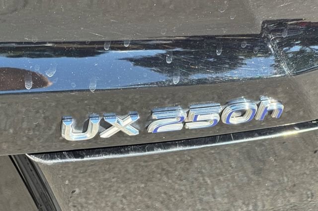 2020 Lexus UX UX 250h F SPORT